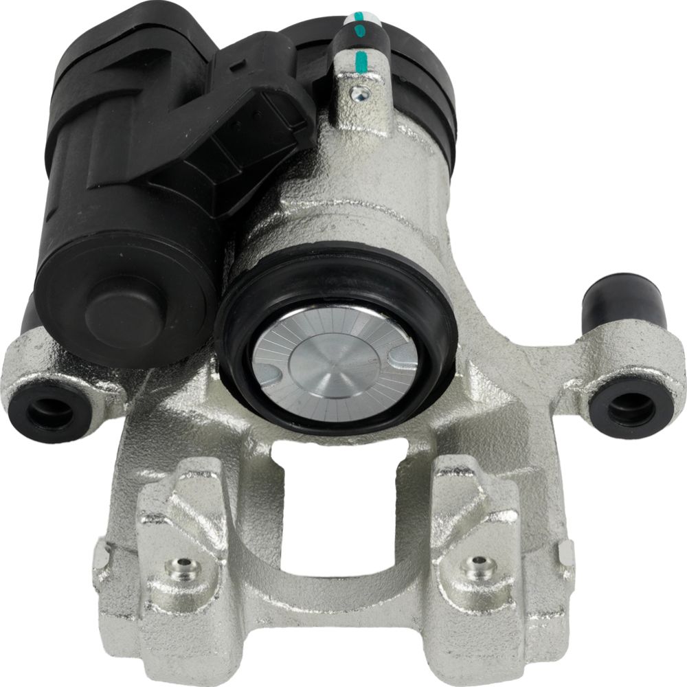 Jarrusatula 23-02720