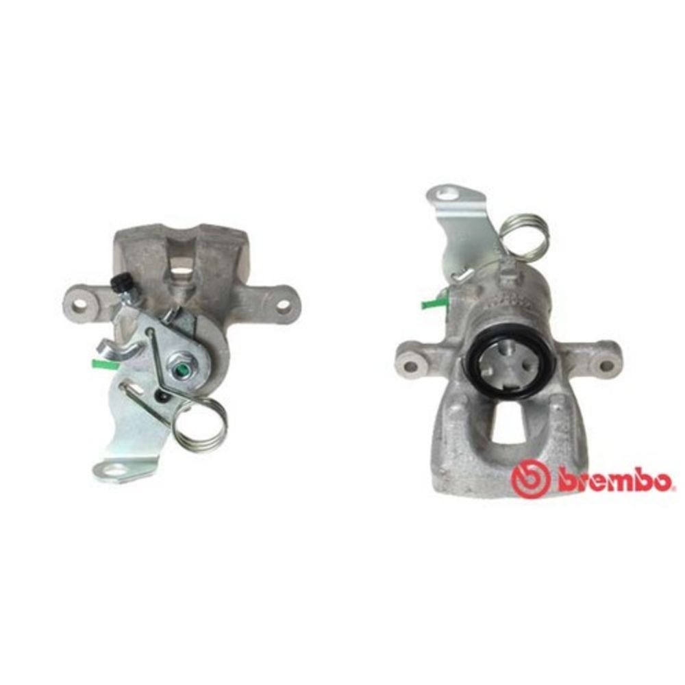 Jarrusatula 23-01107