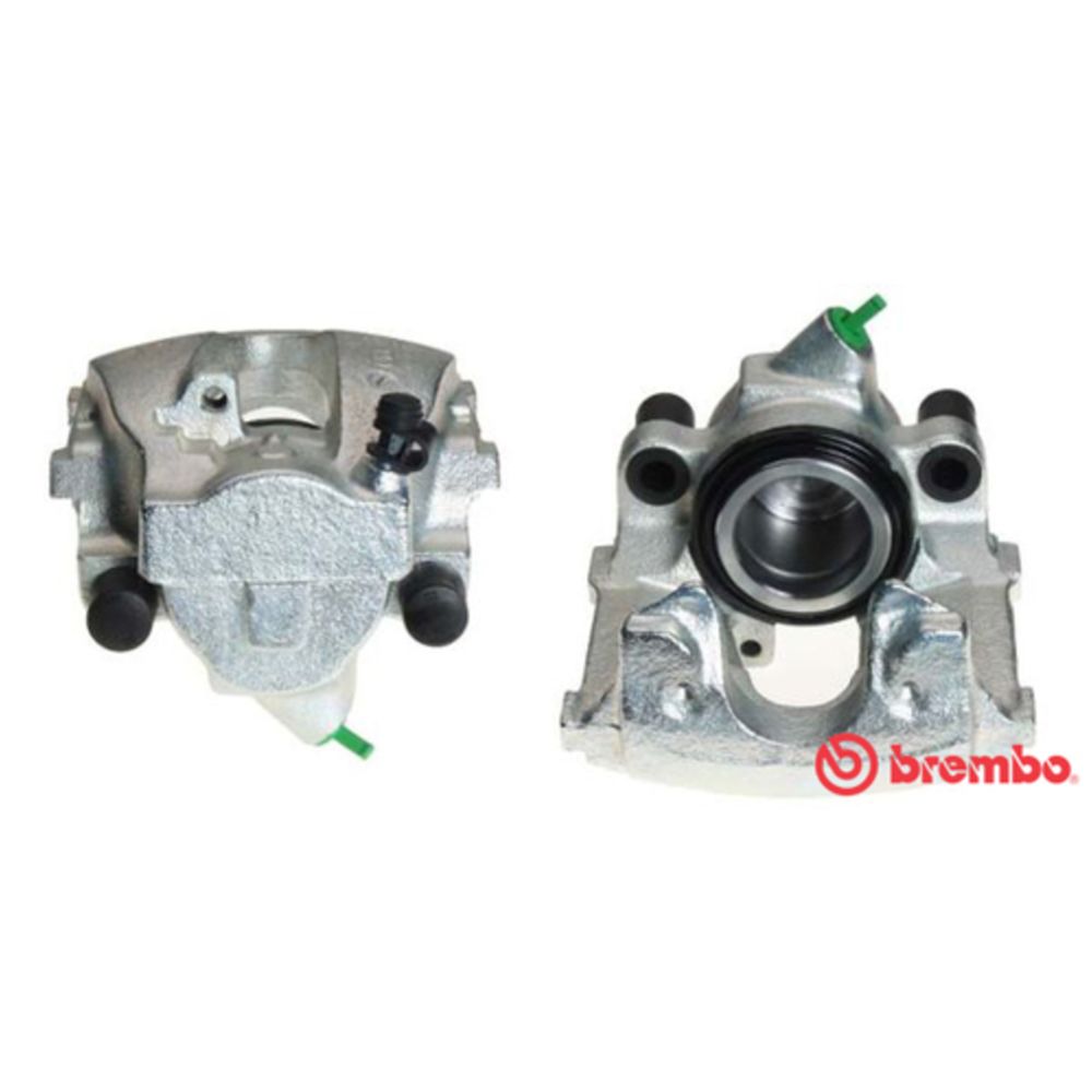 Jarrusatula 23-00104