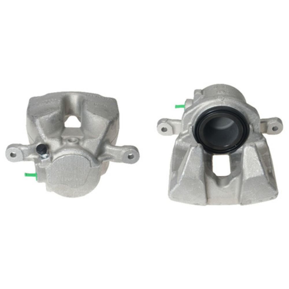 Jarrusatula 23-01156