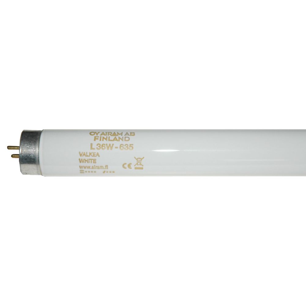 Airam T8 loisteputki G13 36W 3500 K 3350 lm 1200 mm