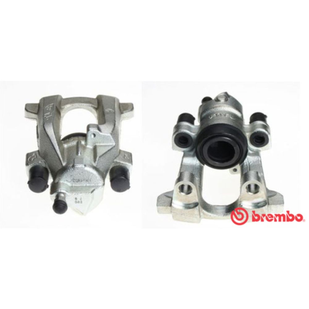 Jarrusatula 23-01161