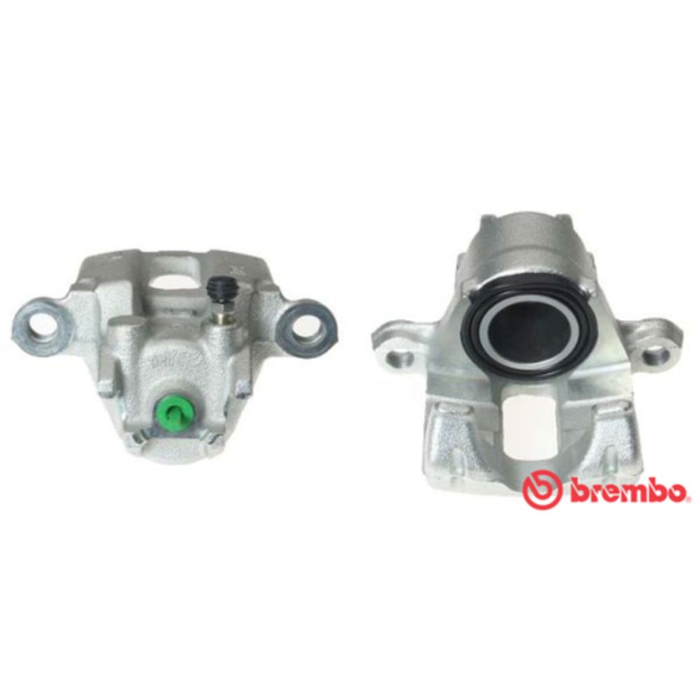 Jarrusatula 23-01517