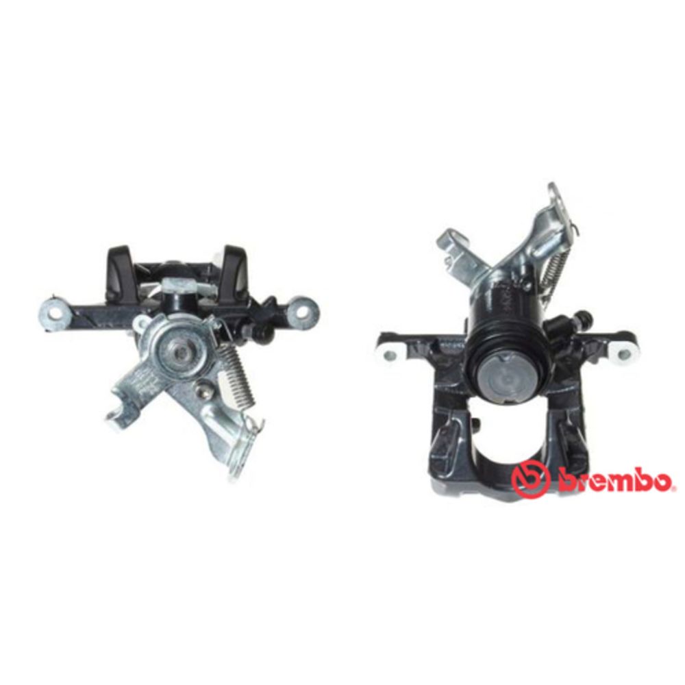 Jarrusatula 23-01426