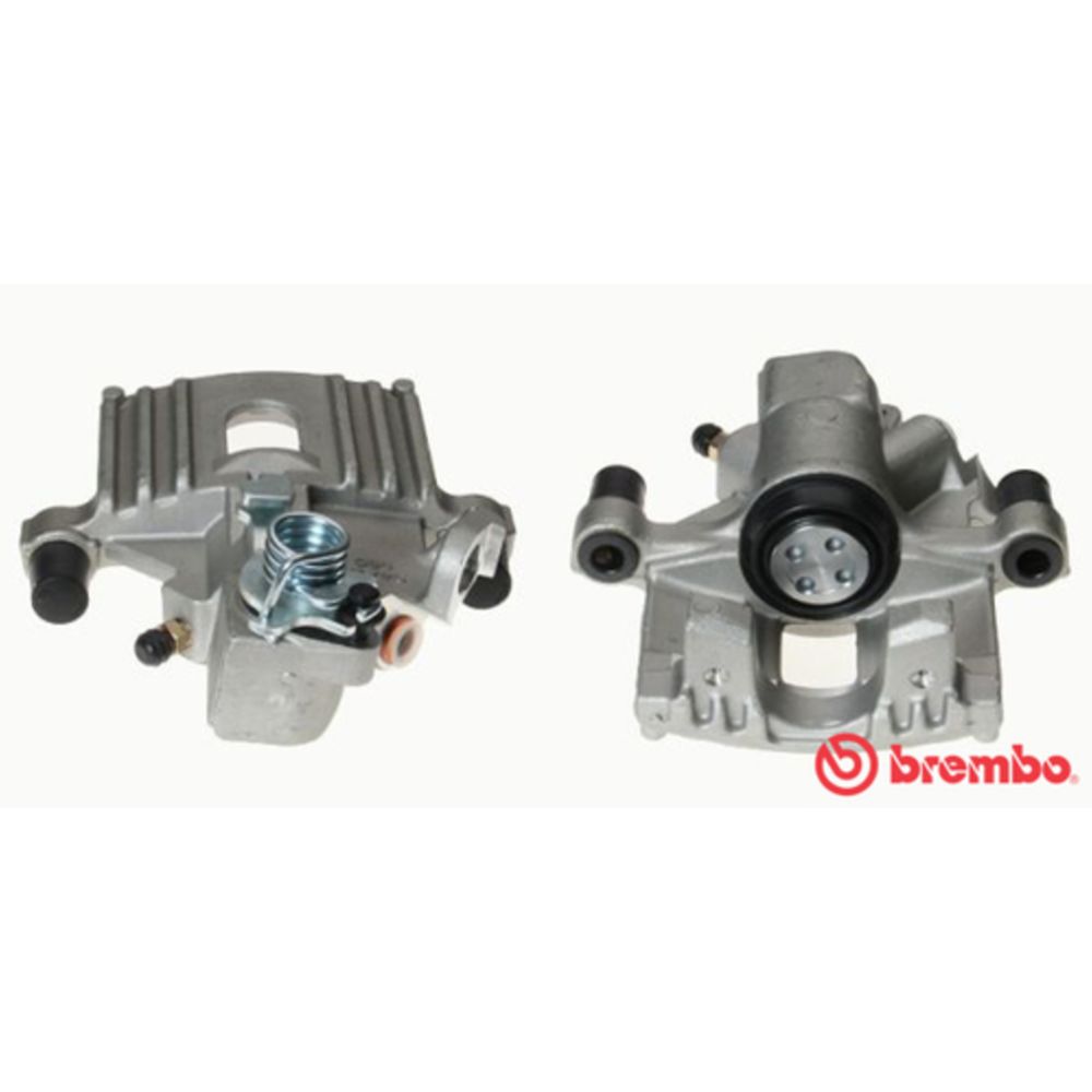 Jarrusatula 23-02264