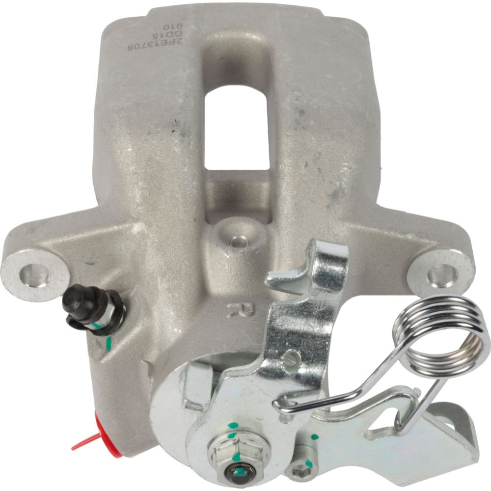 Jarrusatula 23-00750