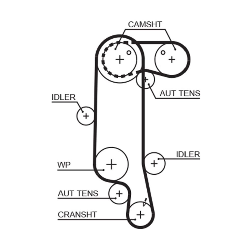 Kuggrem 25-6145