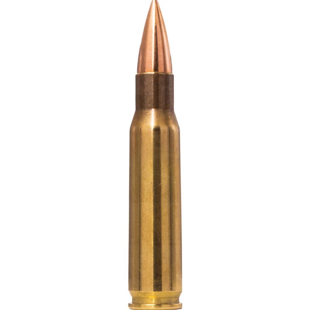 Norma Range &Training .308  9,7g/150gr