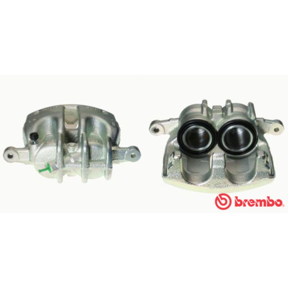 Jarrusatula 23-01140