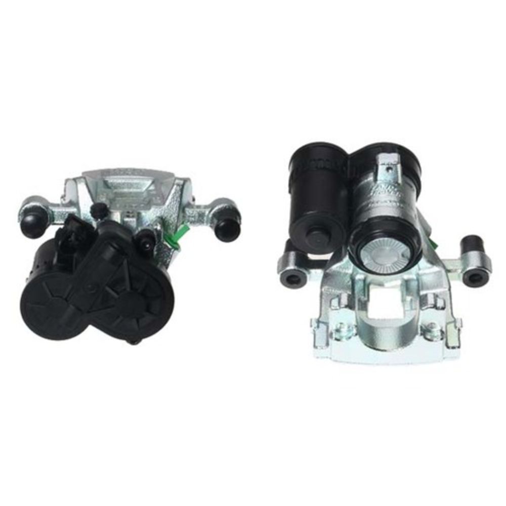 Jarrusatula 23-00944