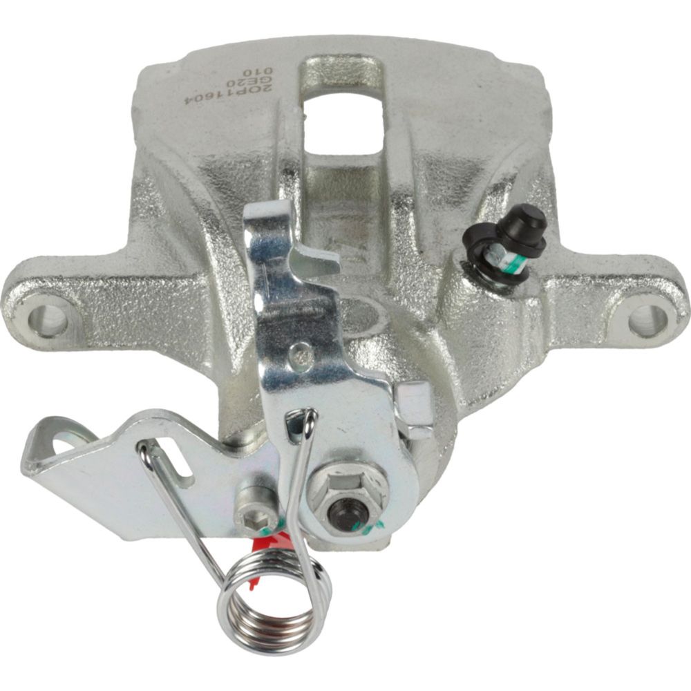 Jarrusatula 23-00733