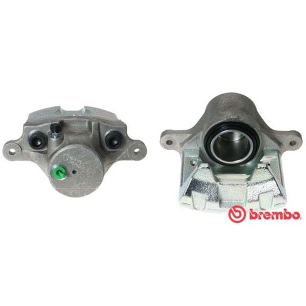 Jarrusatula 23-01172