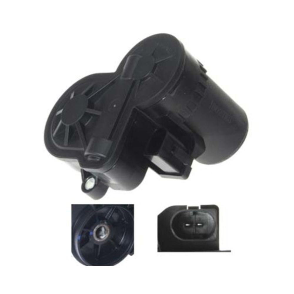 Jarrusatula 23-00942