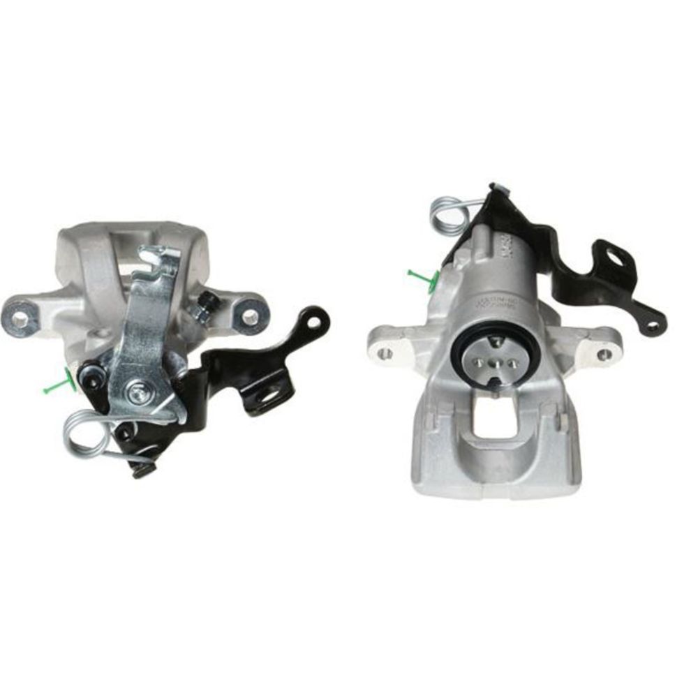 Jarrusatula 23-00081