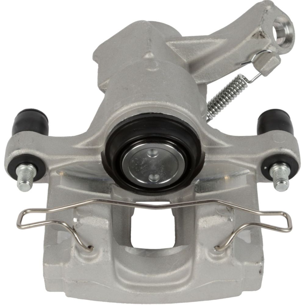 Jarrusatula 23-00721