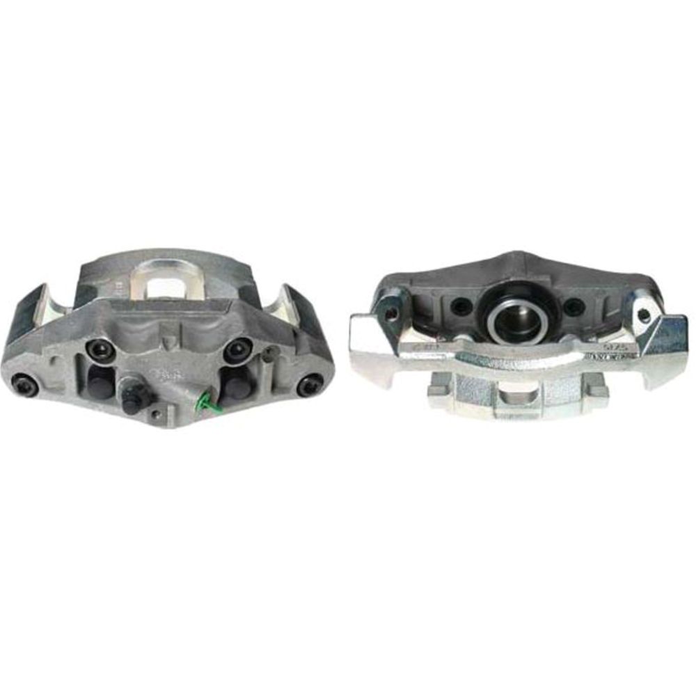 Jarrusatula 23-00271