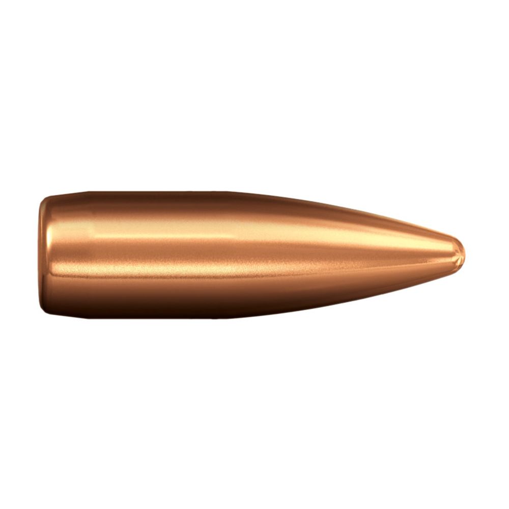 Norma Jaktmatch .300 Win. 9,7 g/150 gr FMJ 20 kpl