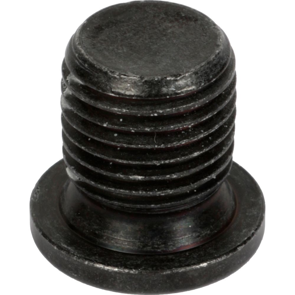 Oljeplugg 98-25831