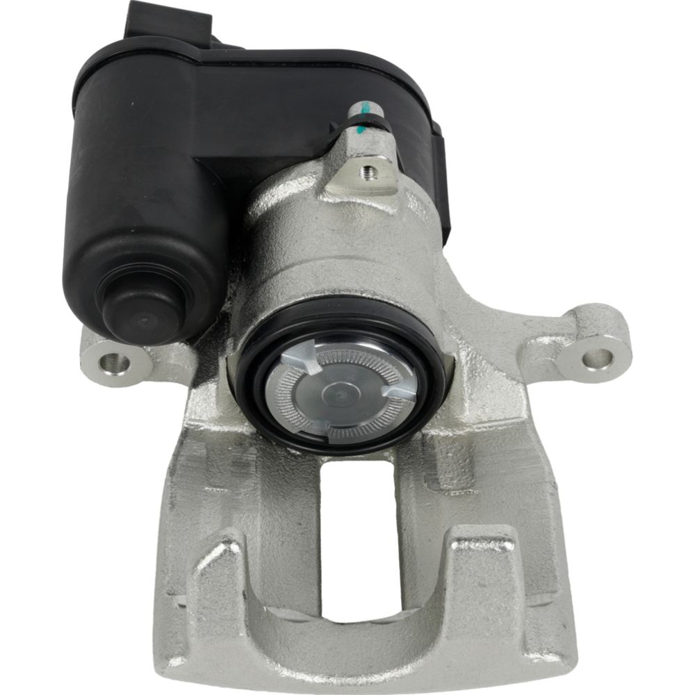 Jarrusatula 23-02766