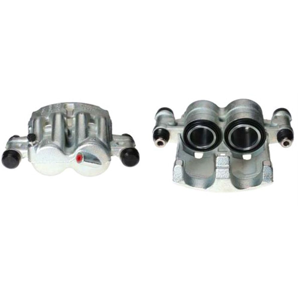 Jarrusatula 23-00217