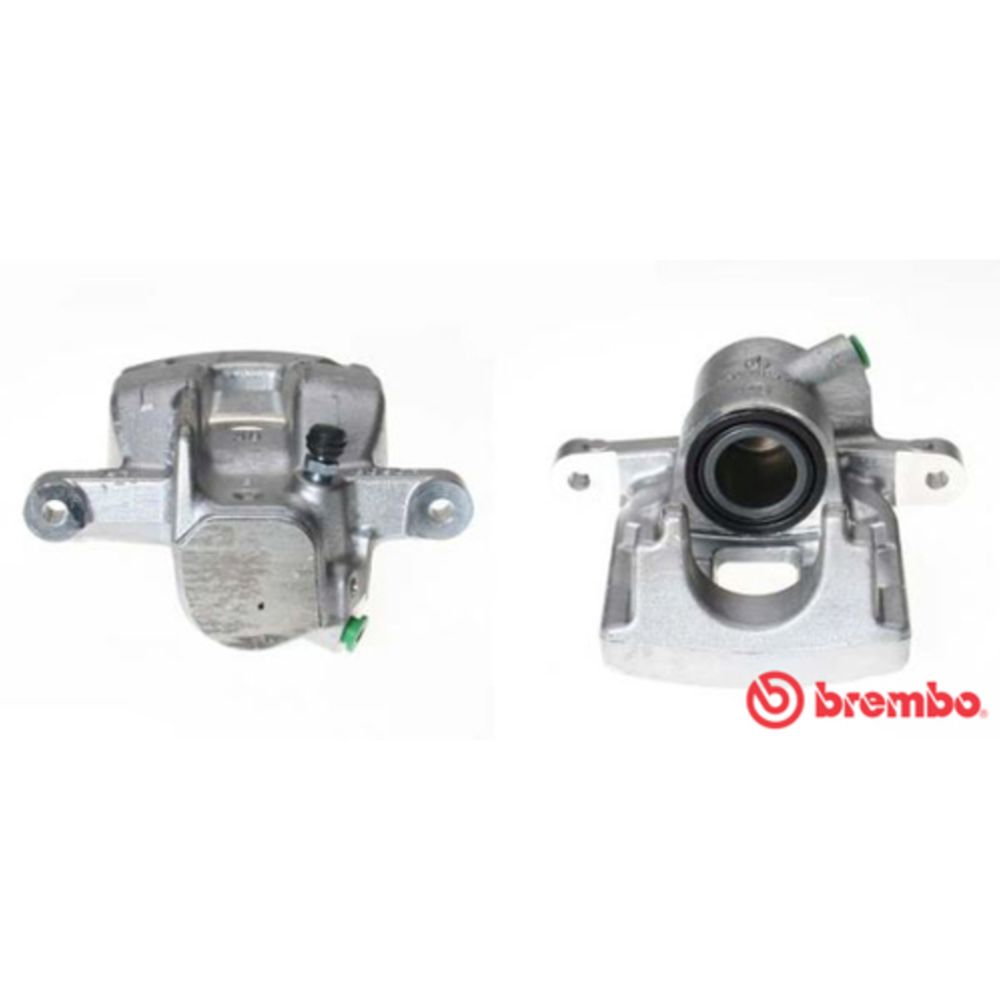 Jarrusatula 23-01089