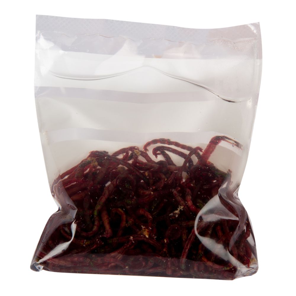 MTX Fishing XL surviaisen toukka 10 g