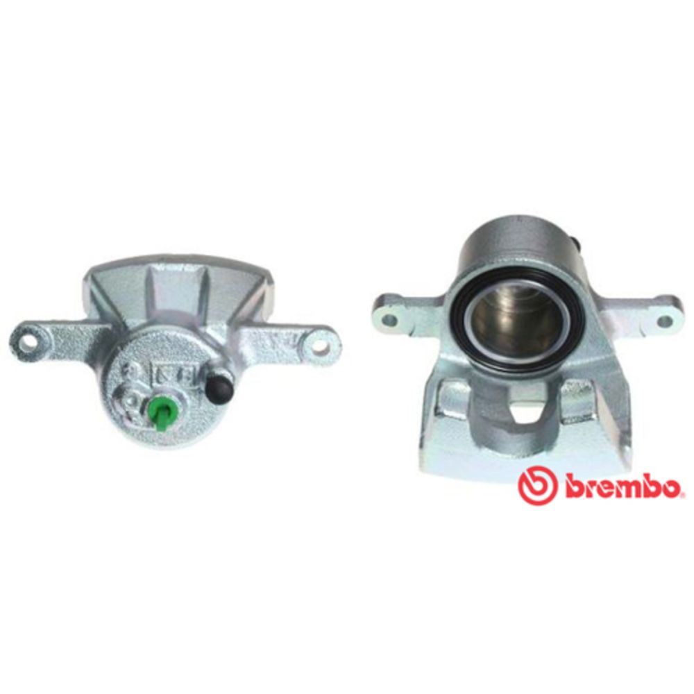 Jarrusatula 23-00264