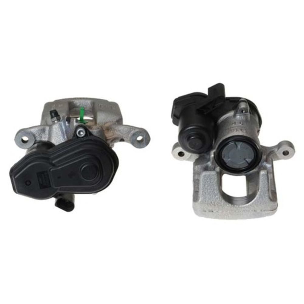 Jarrusatula 23-00946