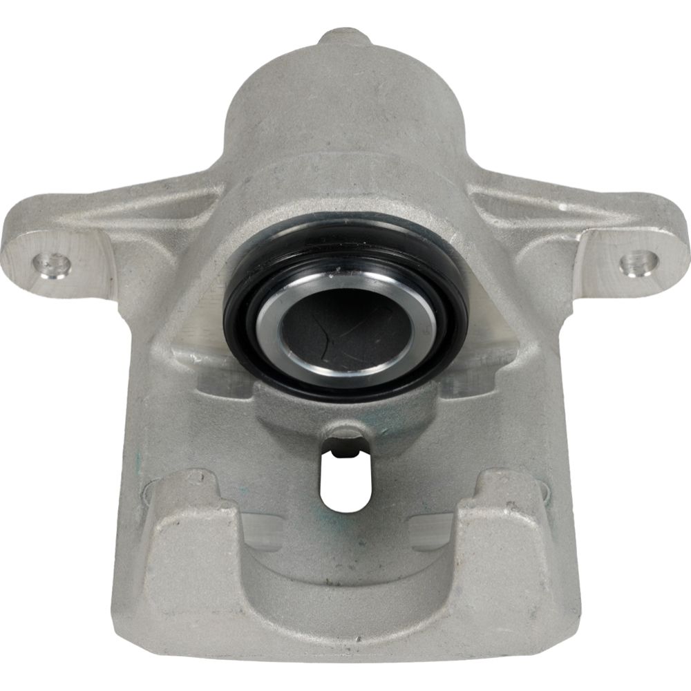 Jarrusatula 23-02745