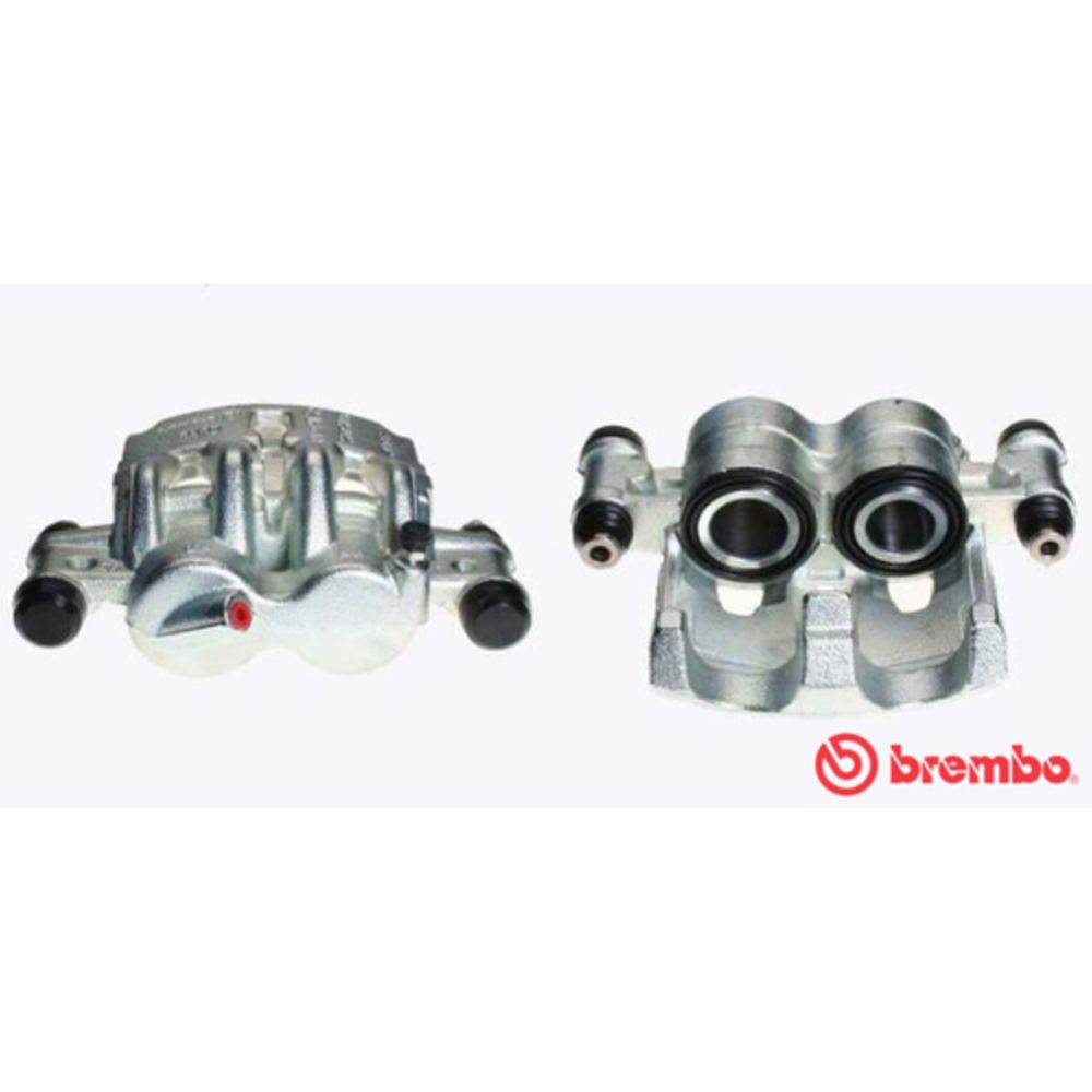 Jarrusatula 23-00172