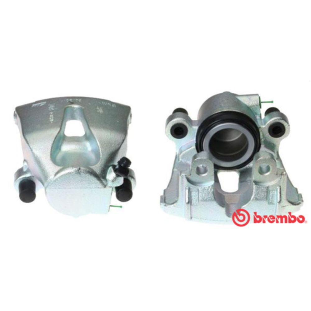 Jarrusatula 23-01093