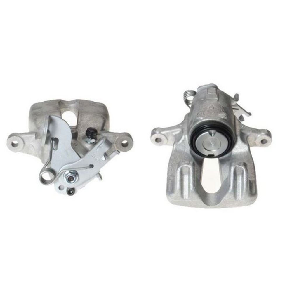 Jarrusatula 23-00305