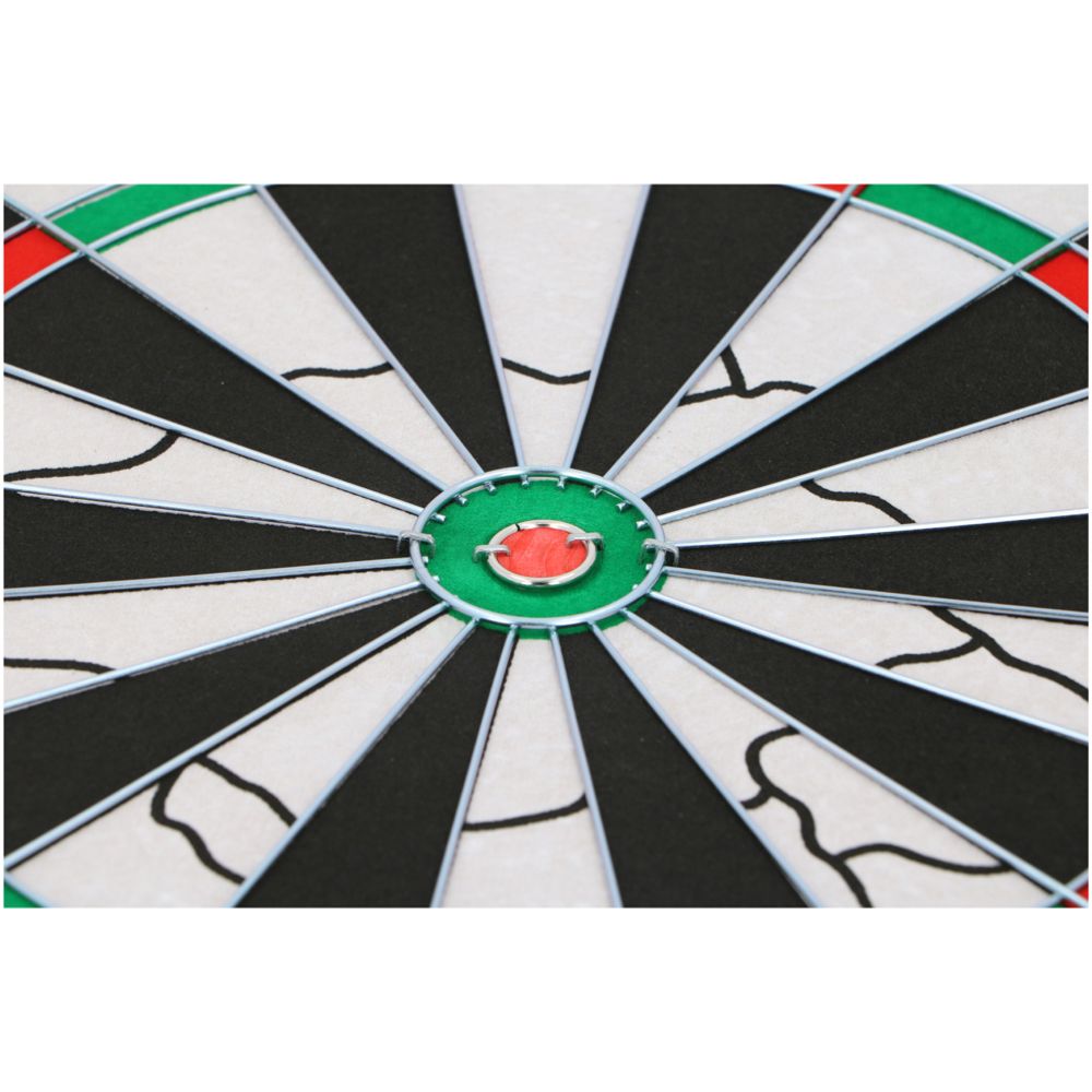 Lifetime Deluxe darttavla