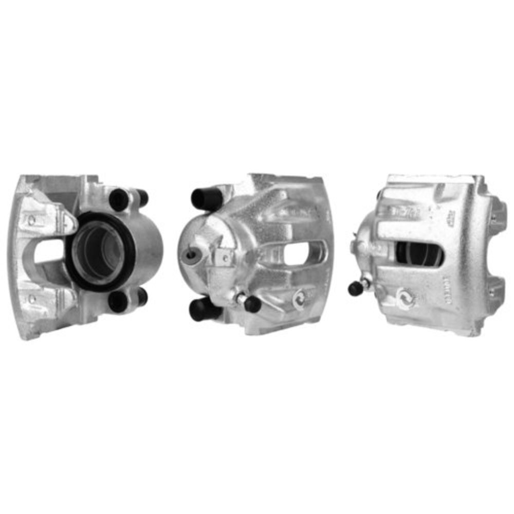 Jarrusatula 23-00442