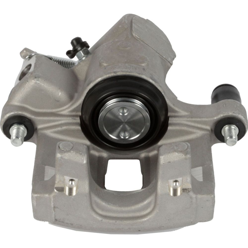 Jarrusatula 23-00740