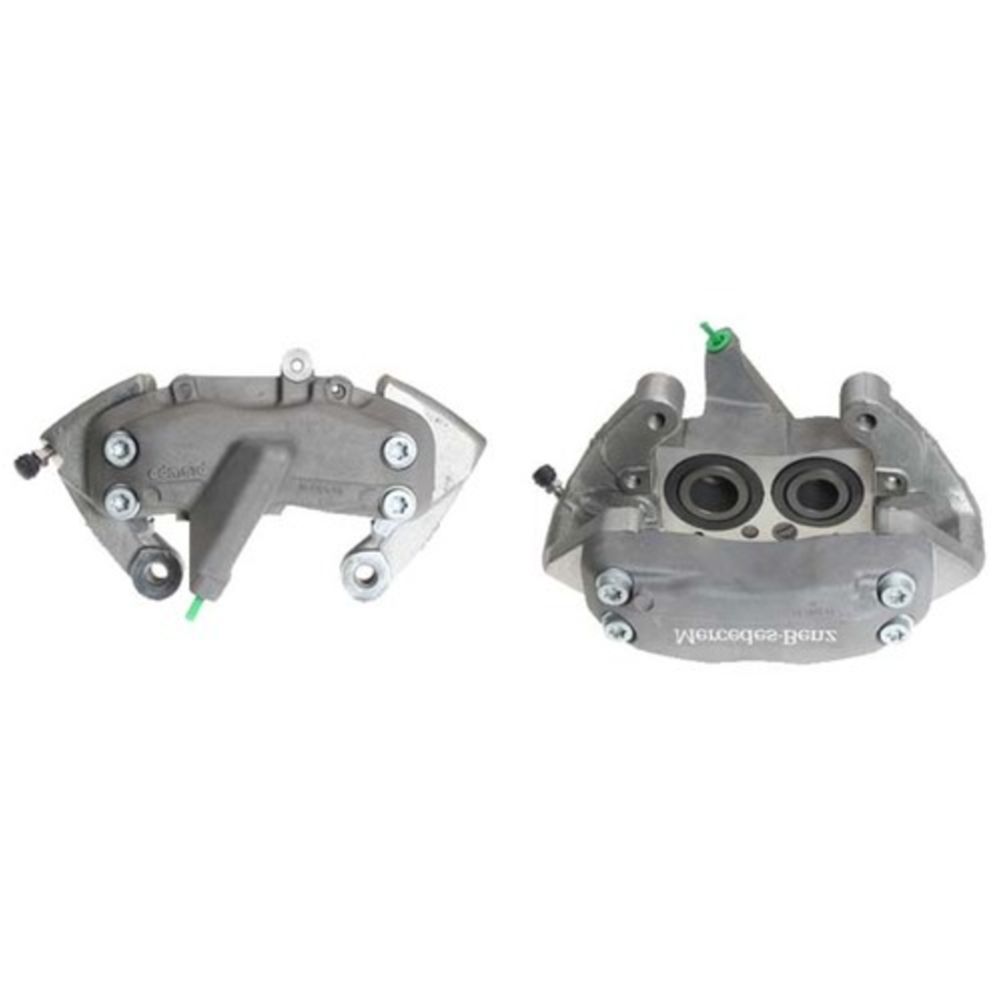 Jarrusatula 23-00216