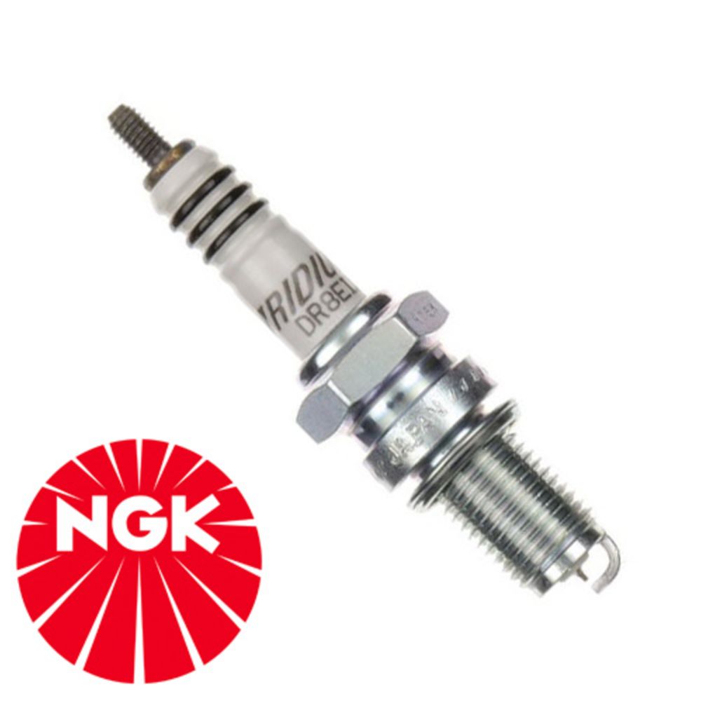 NGK DR8EIX sytytystulppa