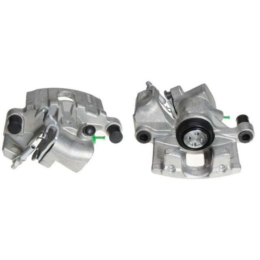 Jarrusatula 23-00129