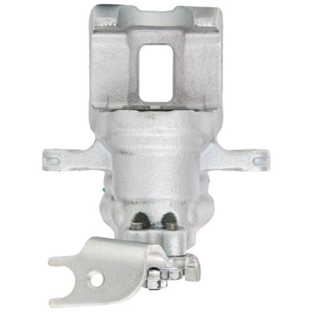 Jarrusatula 23-00428