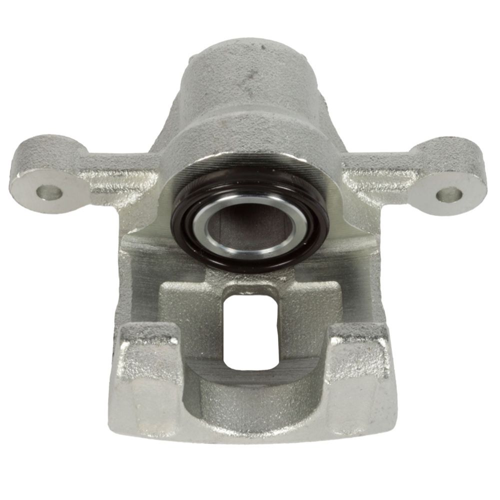 Jarrusatula 23-00695
