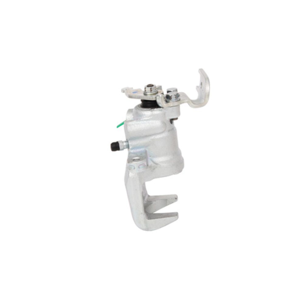 Jarrusatula 23-00428