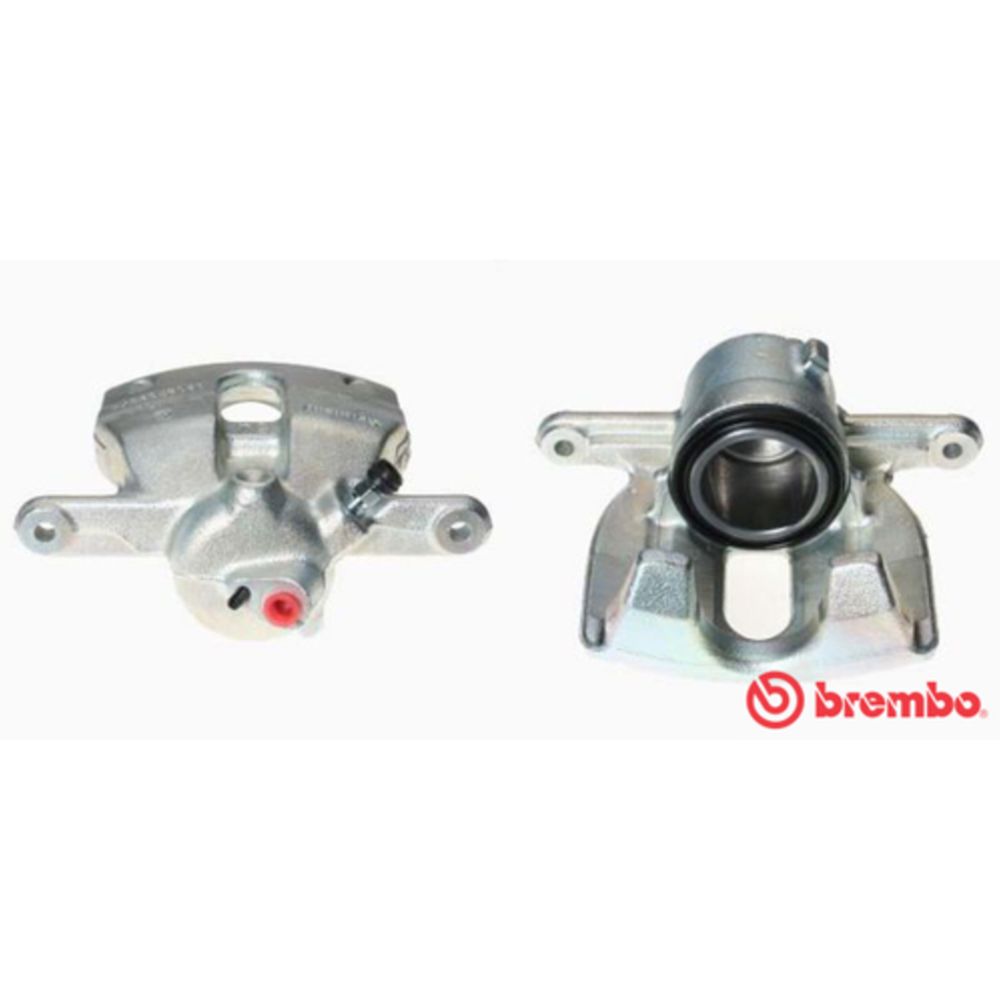 Jarrusatula 23-01884