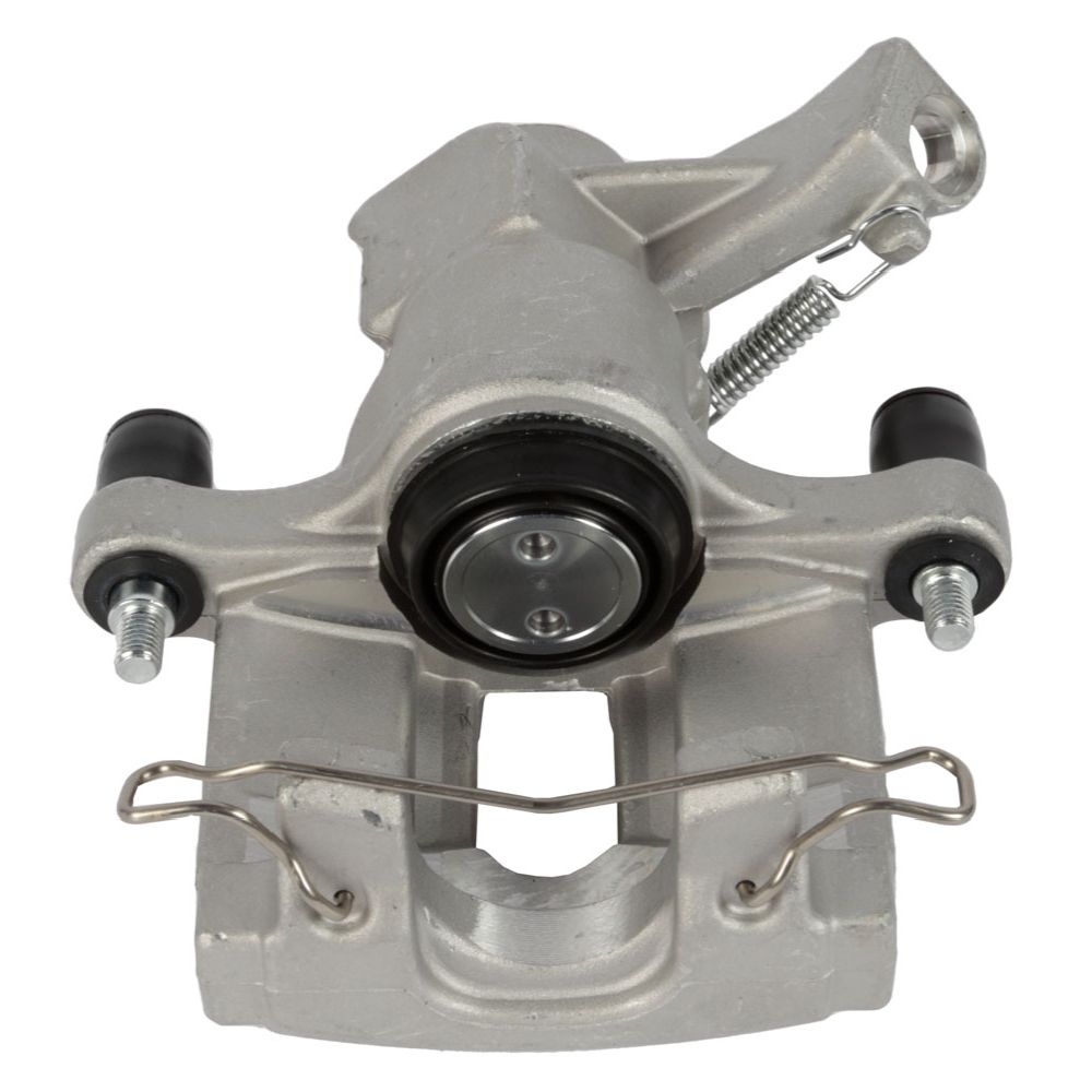 Jarrusatula 23-00727