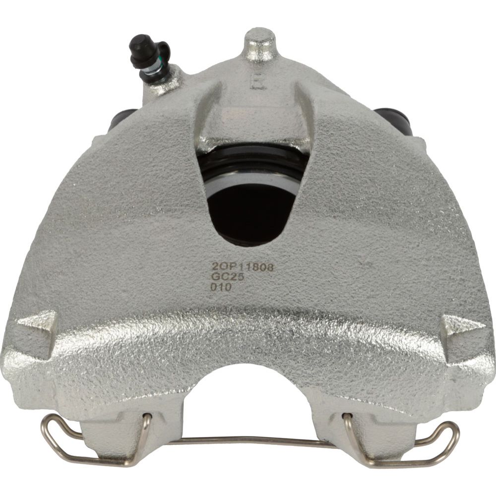 Jarrusatula 23-00736