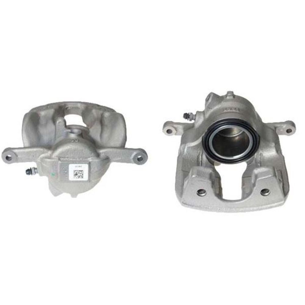 Jarrusatula 23-00055