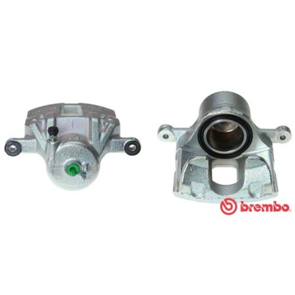 Jarrusatula 23-00471