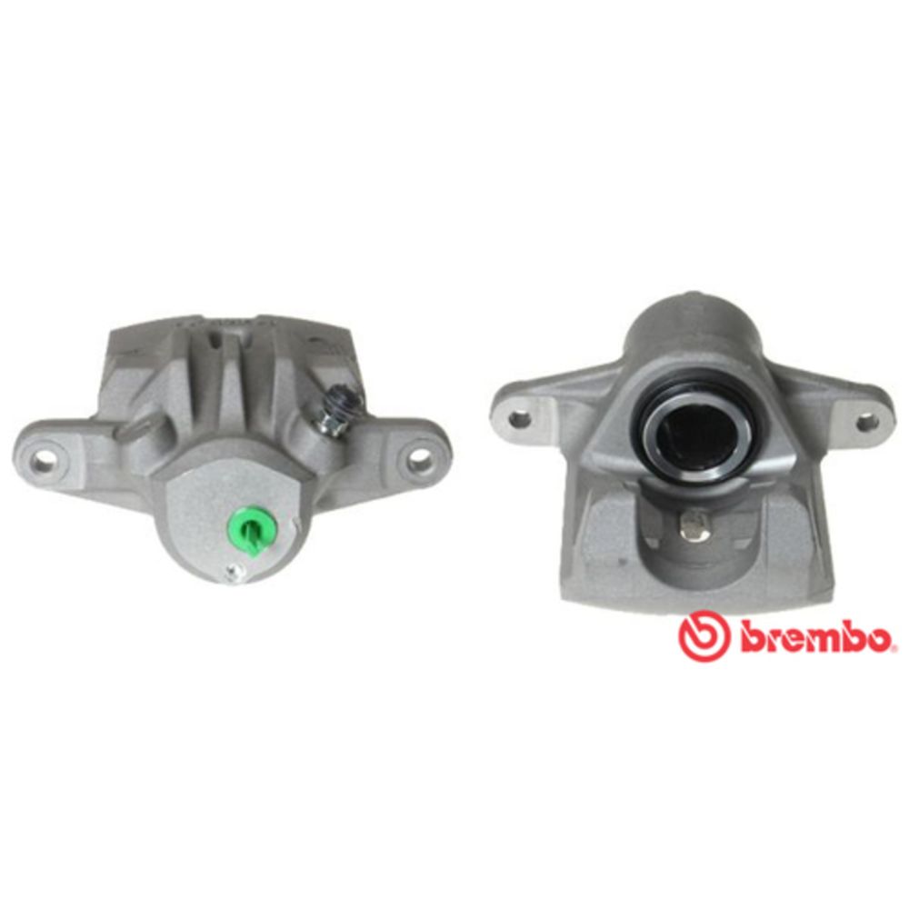 Jarrusatula 23-01306