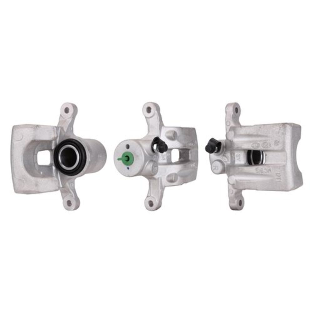 Jarrusatula 23-00485