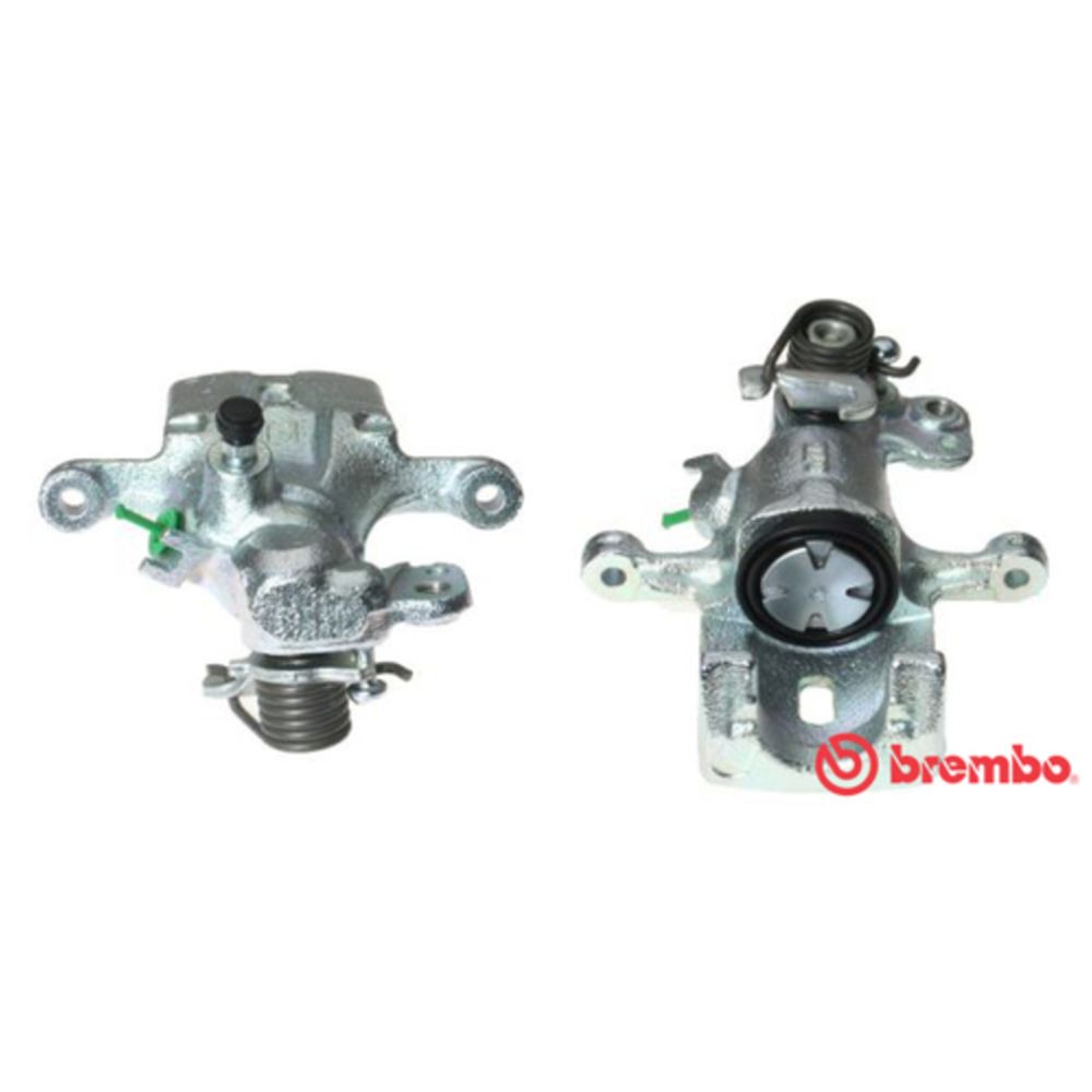 Jarrusatula 77-39591