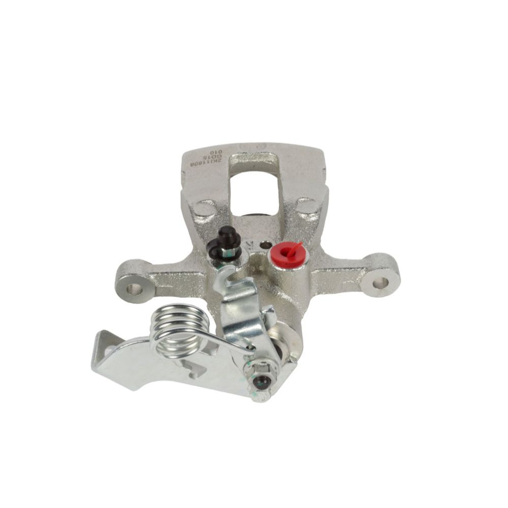 Jarrusatula 23-00700